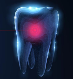 tooth bud ablation in the news